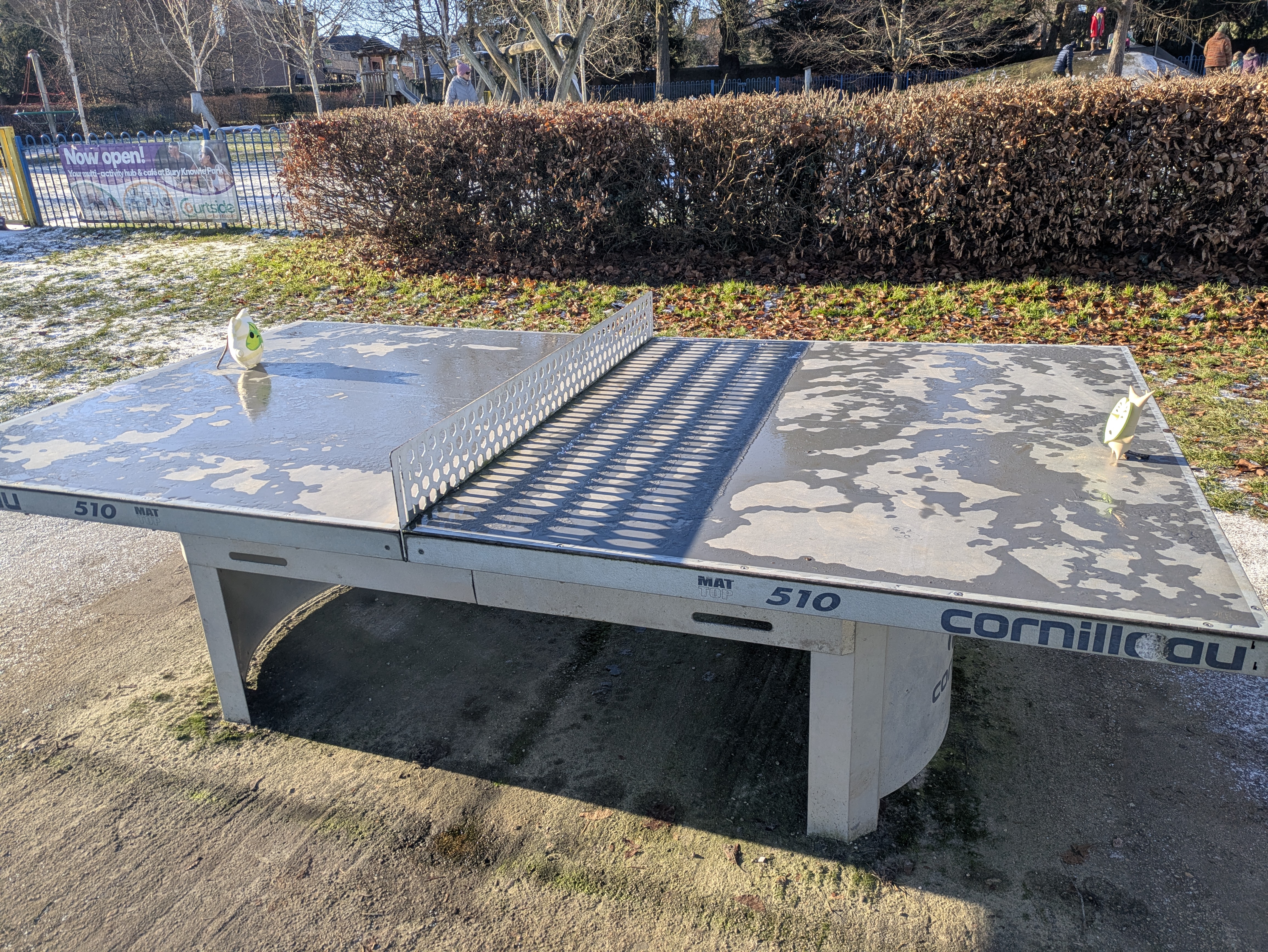 Koroks on Table Tennis Table